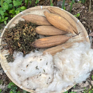 Bông gạo kết hợp với lá đinh lăng giã tay