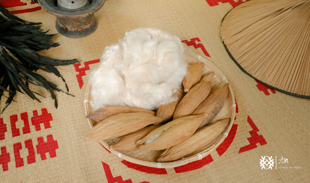 Bông gạo thiên nhiên lành tính