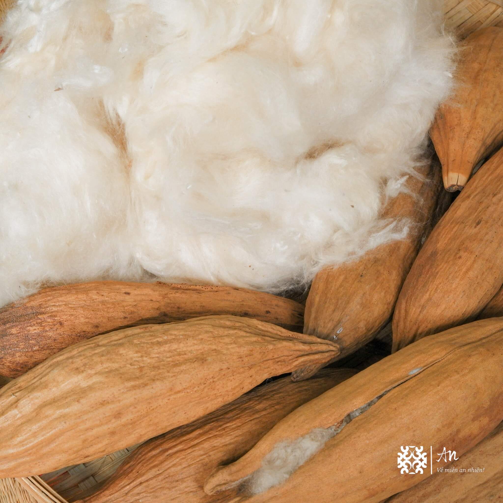 gối bông gạo công thái học (4) gối bông gạo công thái học (4)